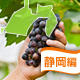 静岡県で秋の収穫・果物狩りが楽しめるバーベキュースポット3選！＜子供OK＞