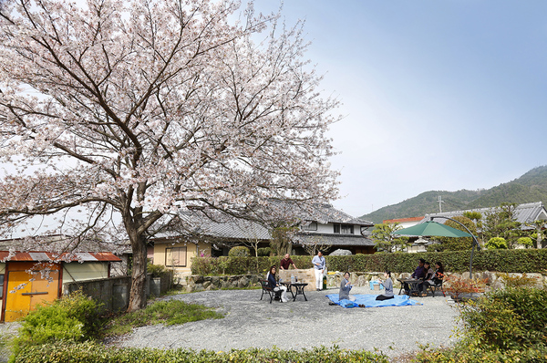 春には桜の下でお花見BBQもできます