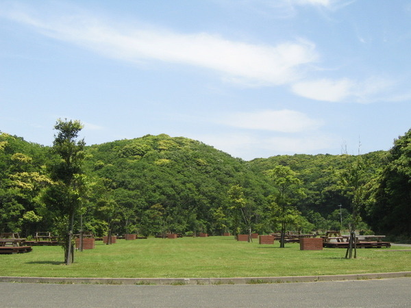 芝生グラウンド