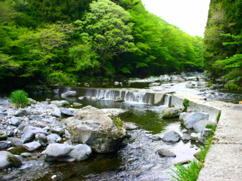 芝川で釣り・川あそび