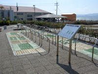 なぎさの小道