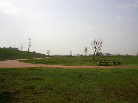 BBQ場（芝生系広場ゾーン）