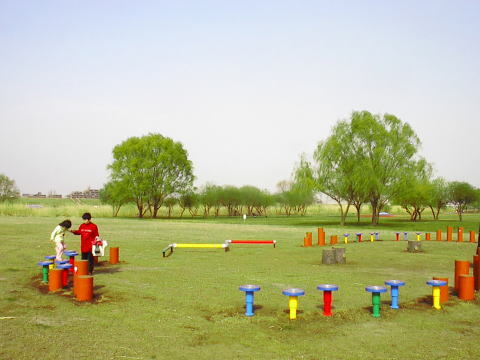 BBQ場（芝生系広場ゾーン）の遊具