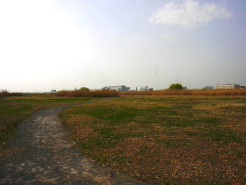 野草系広場ゾーン