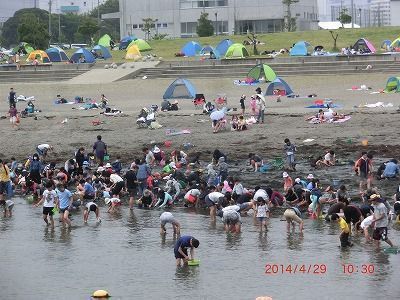 人工海浜で、潮干狩りや磯遊びもできる！