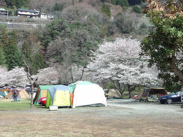 四季折々の美しい姿を見せてくれる裏丹沢