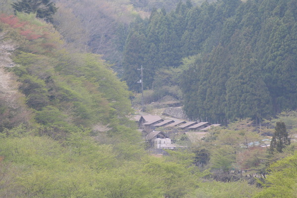 西丹沢の雄大な自然に囲まれてアウトドアを満喫