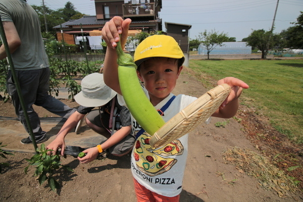 子供達も初めての収穫に大満足^^