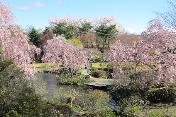 四季の里 緑水苑