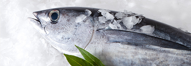 ＜マグロ＞バーベキューにおすすめの海鮮食材について！