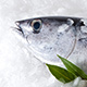 ＜マグロ＞バーベキューにおすすめの海鮮食材について！