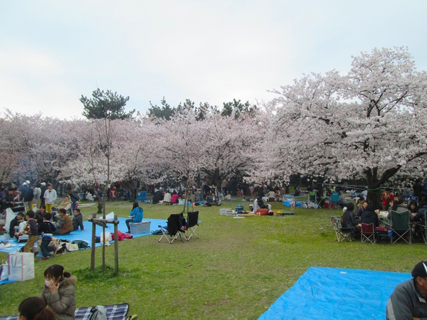 浜寺公園