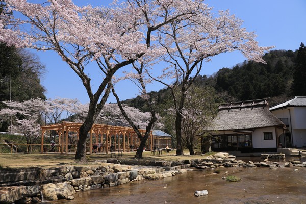 WOOD DESIGN PARK