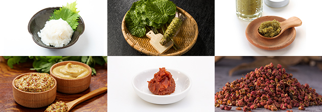 薬味で味チェンジ！飽きないバーベキューのやり方