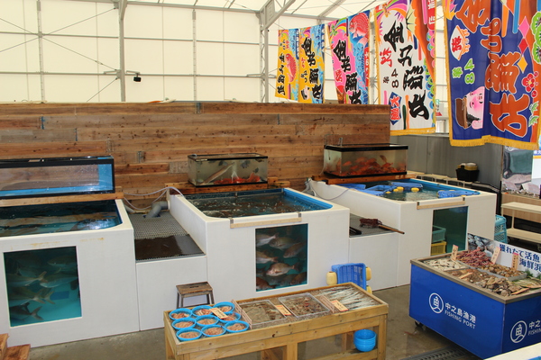 新鮮な活魚が集まります