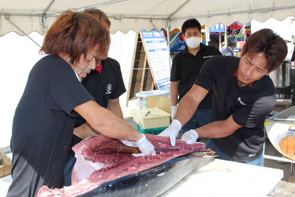 新鮮な活魚を提供します