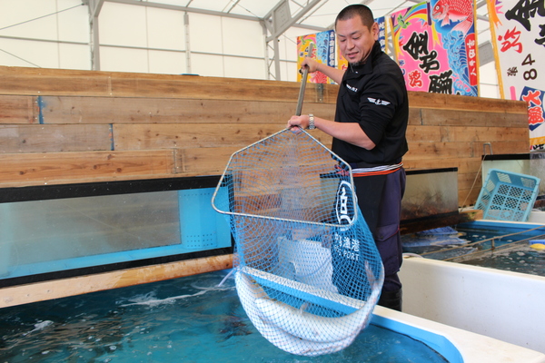 新鮮な活魚