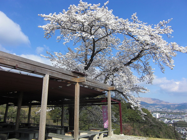 春のバーベキュー場
