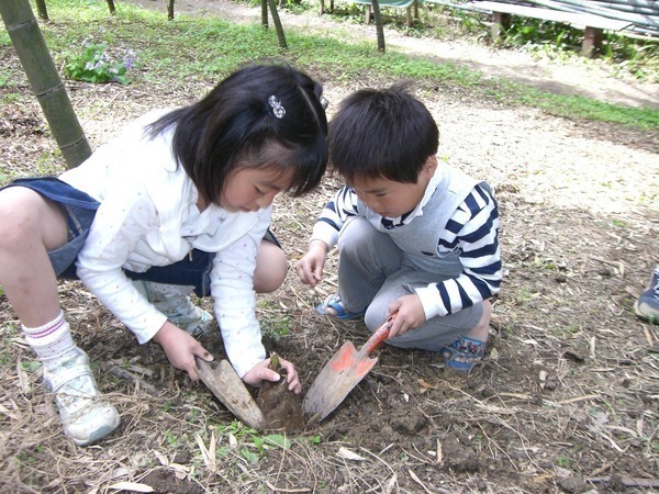 竹の子掘り