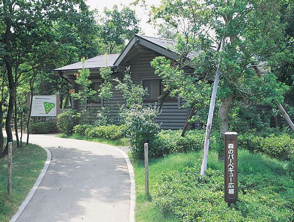 森のバーベキュー広場