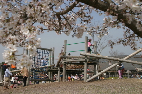 ウッディ広場