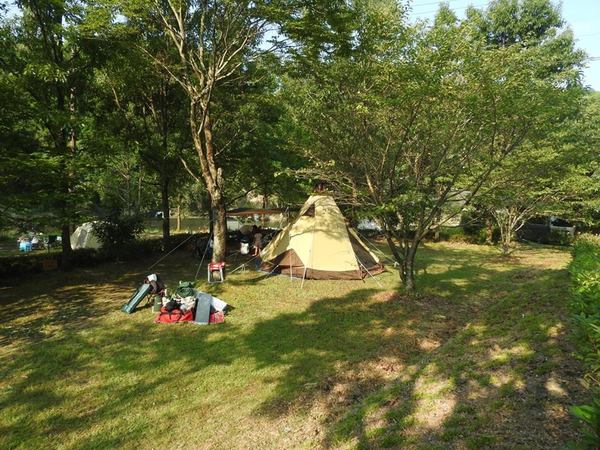 キャンプ場利用風景