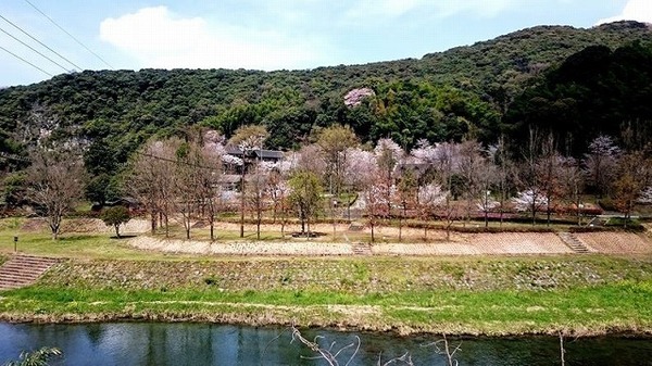 キャンプ場遠景
