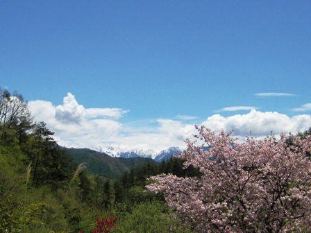 周囲の風景