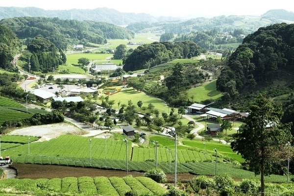 公園全景