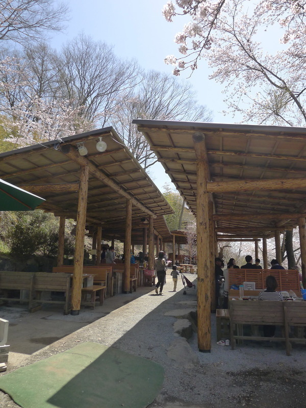 BBQエリア