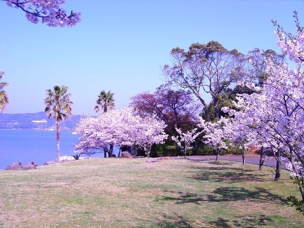 施設風景