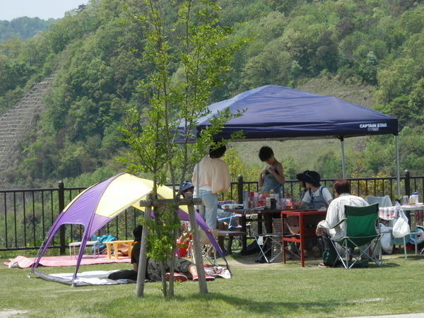 開放的なキャンプ場
