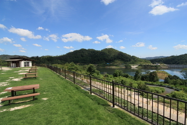 ダムの景色が一望