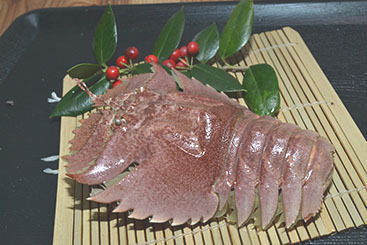 うちわえび