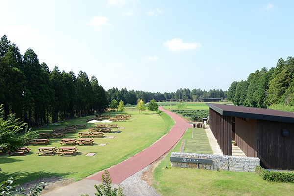 農園リゾート「THE FARM」BBQ