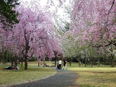 彩の森入間公園