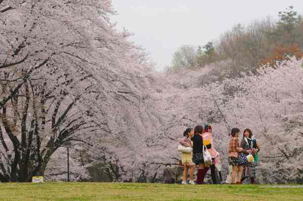 狭山稲荷山公園