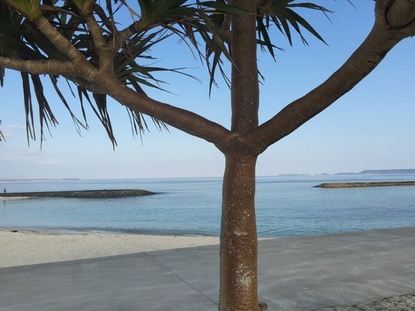 宇堅海浜公園