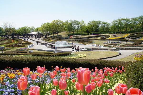 彩の広場