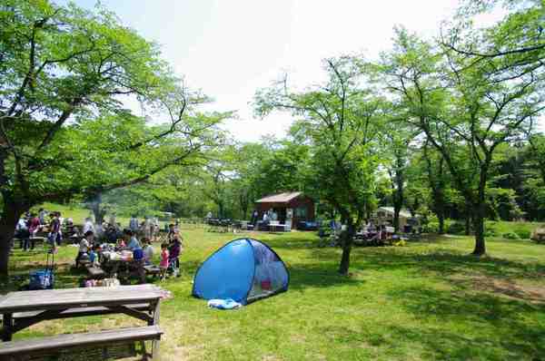BBQ会場・遠景（野外炊飯広場）