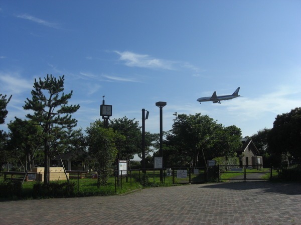 キャンプ場と飛行機