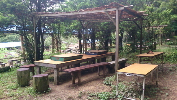 宝塚ダッシュ村