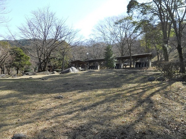 一本松公園（昭和の森）