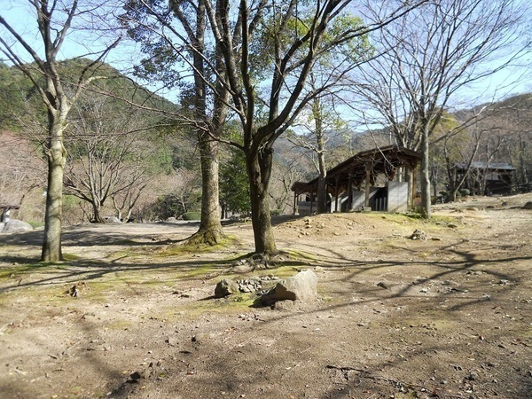 山全体が公園