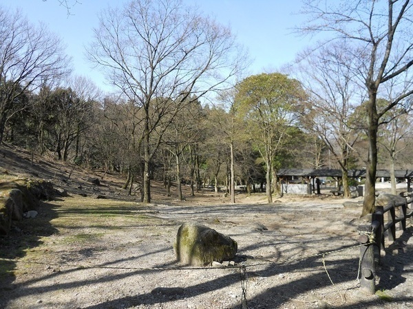 山全体が公園