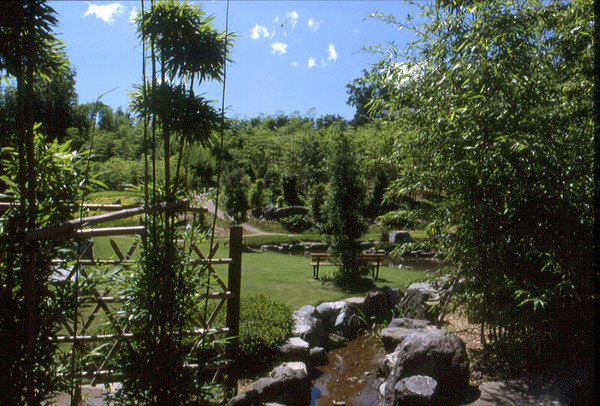 竹林公園