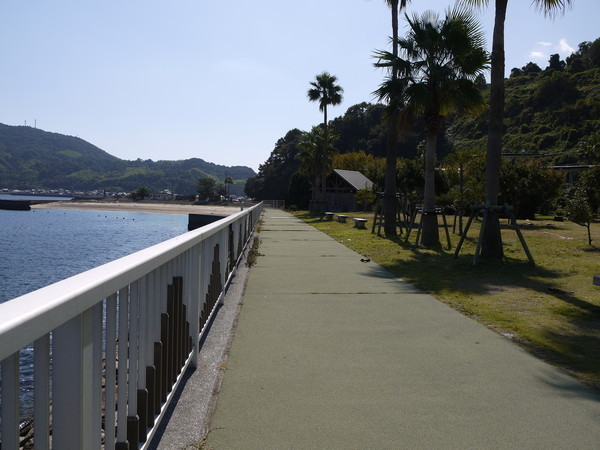 キャンプ場