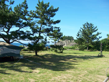 鮎川園地キャンプ場