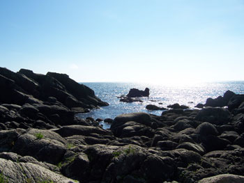岩場