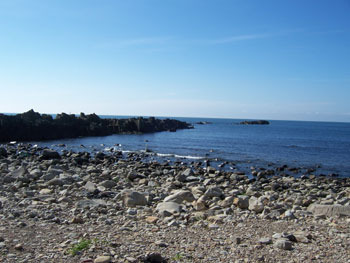 海岸
